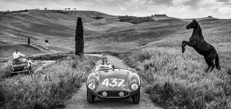 The Prancing Horse (B&W)